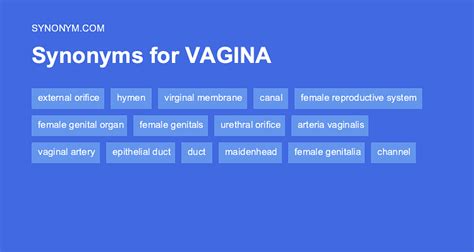 What is another word for vagina